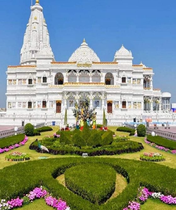 3c7847bb-40e4-49b6-a493-b17738a82026